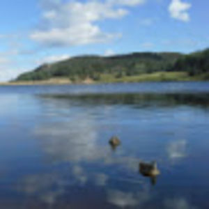 Meet your Posher, Nichole